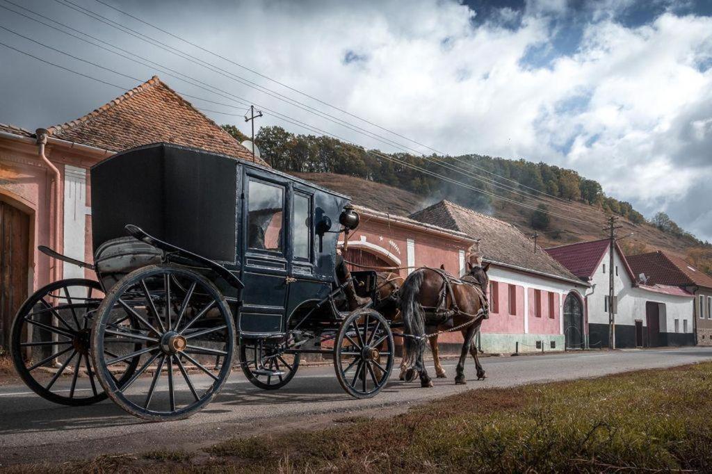 Valea Verde Retreat Transilvania Cund Exterior foto
