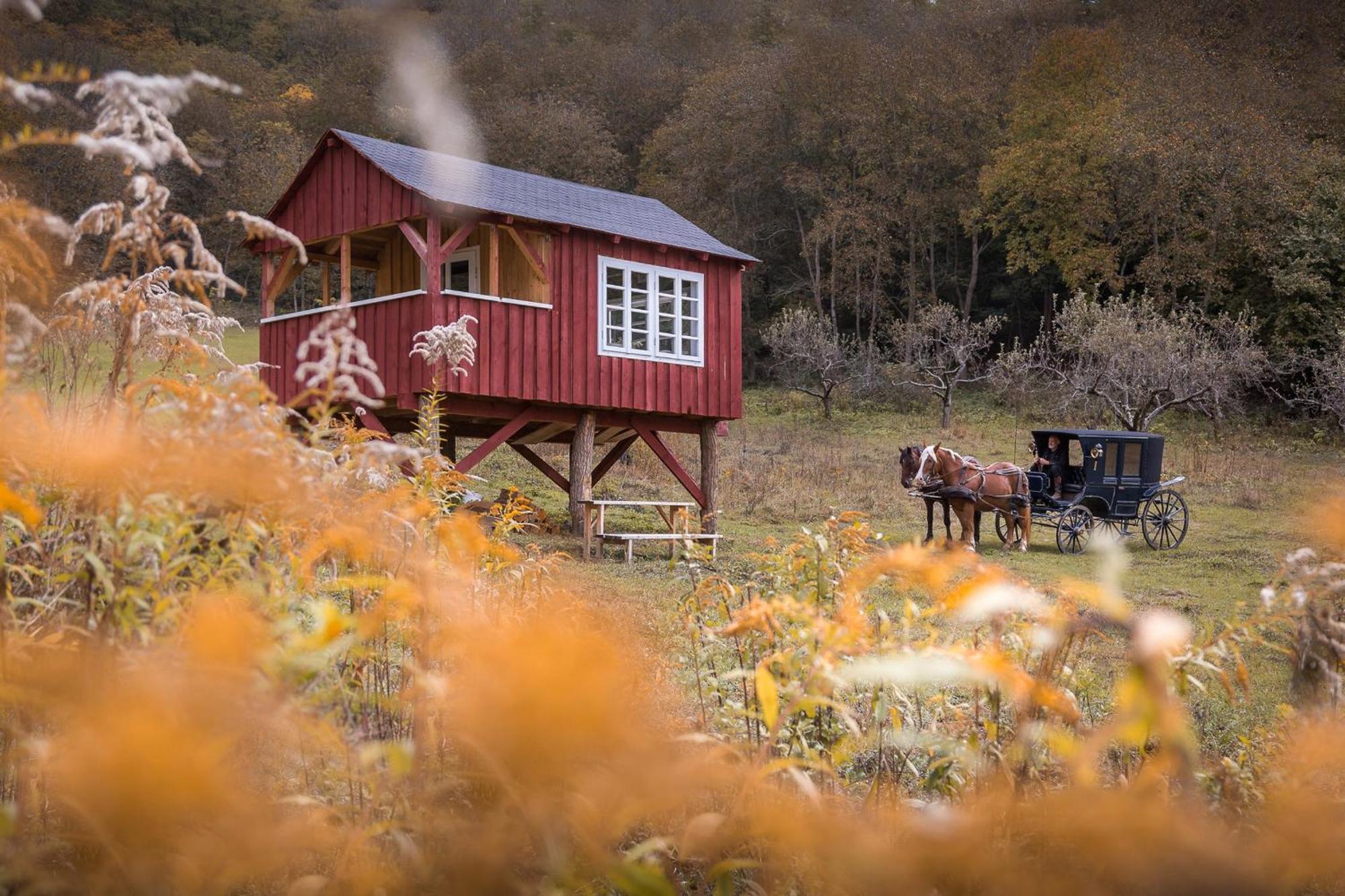 Valea Verde Retreat Transilvania Cund Exterior foto